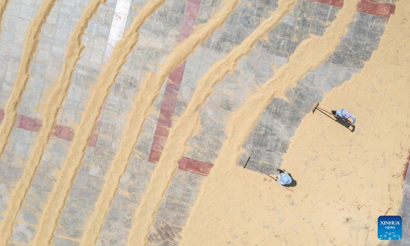 An aerial drone photo taken on Aug. 20, 2025 shows people drying grain at a government compound in Yongchuan District of southwest China's Chongqing Municipality. In recent days, rice in Yongchuan District has entered the harvest season. Local government has provided public areas such as government compounds and cultural squares for farmers to dry grain. (Xinhua/Huang Wei)