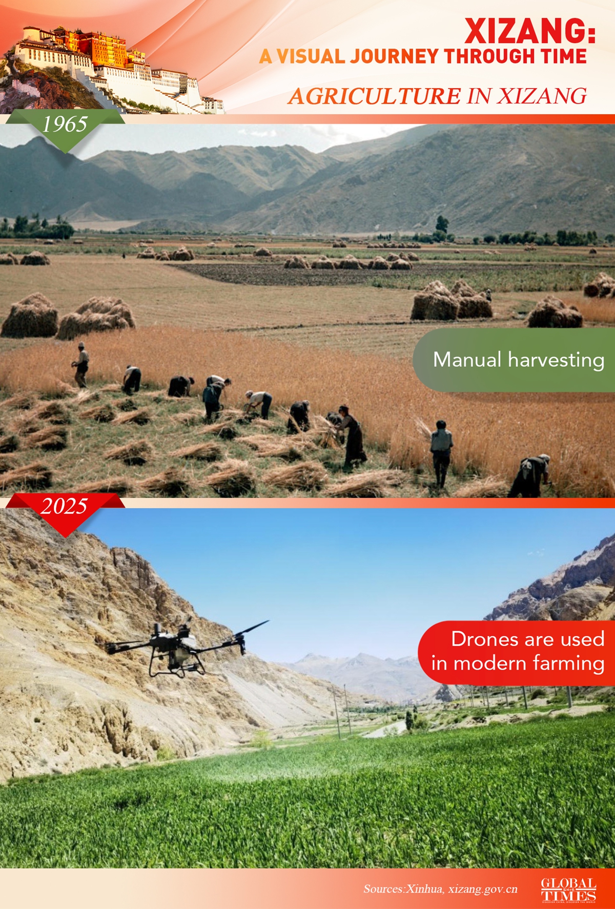 Graphic: Global Times