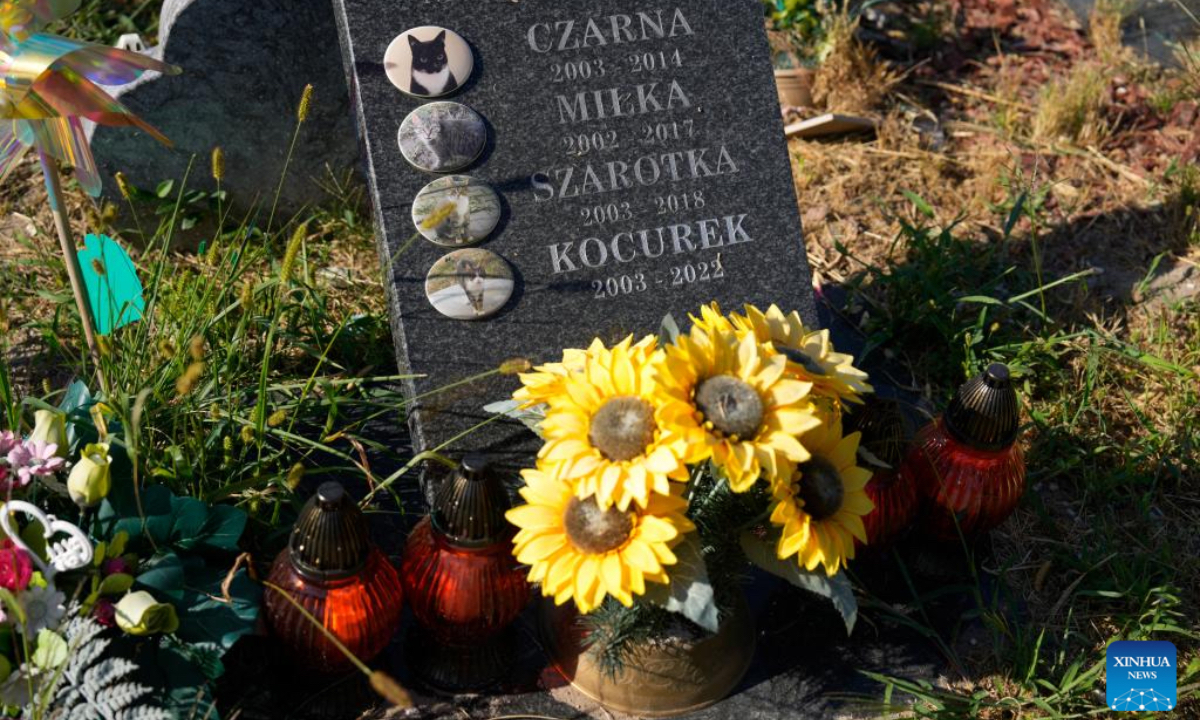 A tombstone is pictured at the 