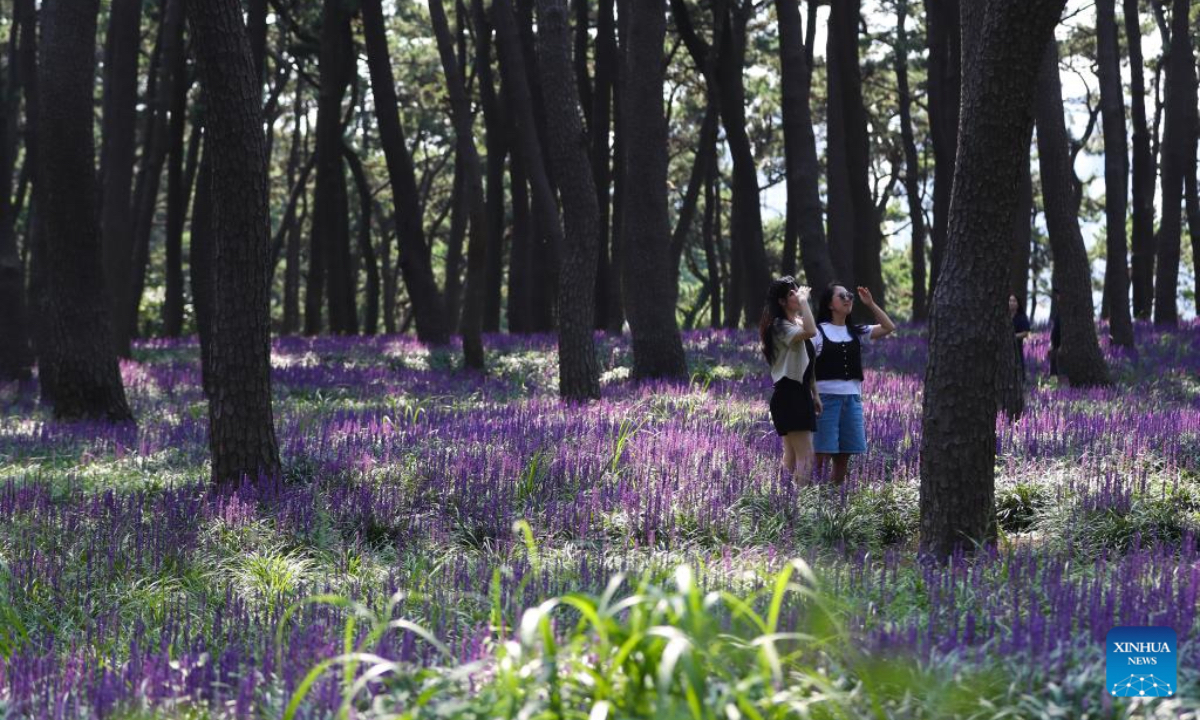 Tourists visit Daewangam Park in Ulsan, South Korea, Aug. 23, 2025. Ulsan, located in southeastern South Korea, has a population of over one million and is a renowned port city. (Xinhua/Yao Qilin)