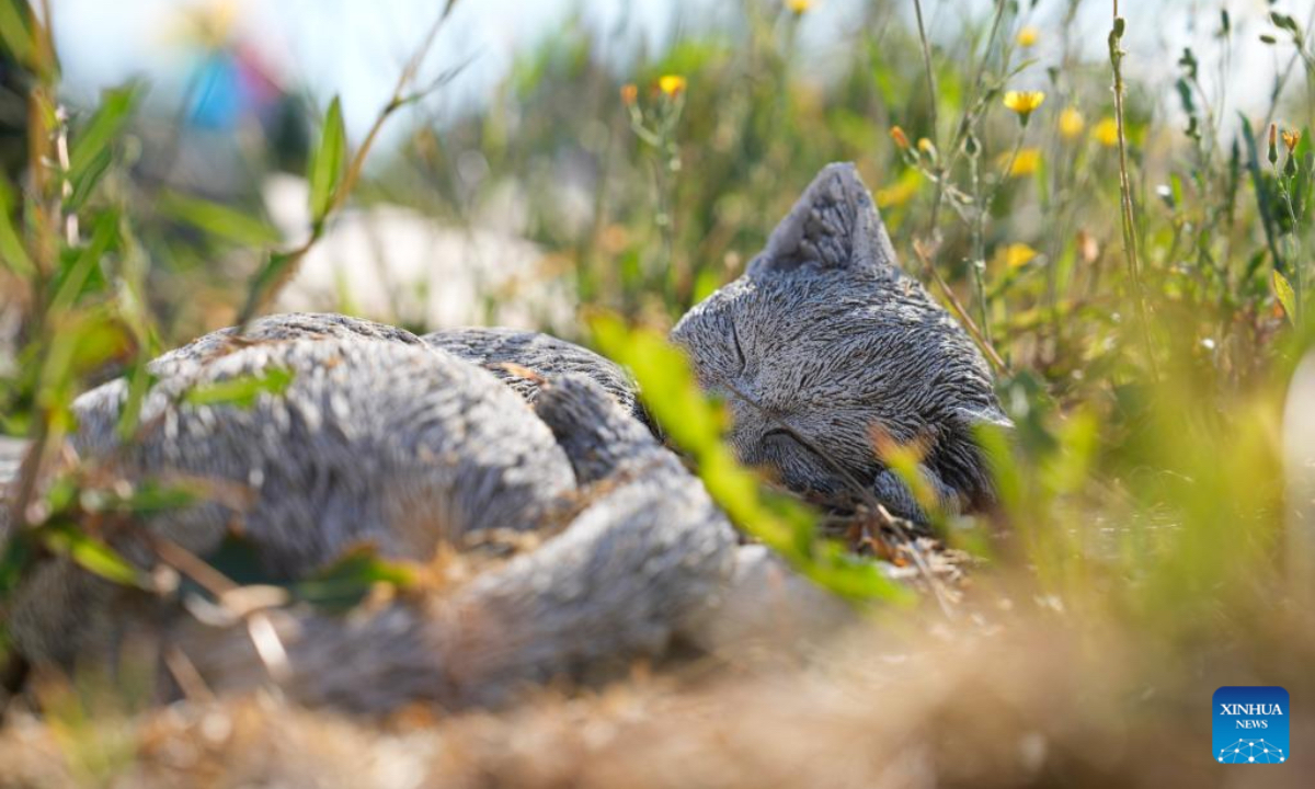 This photo taken on Aug. 22, 2025 shows a view of the 