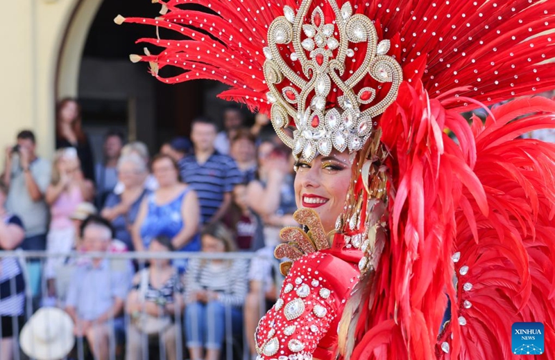 A reveller attends a parade during the Debrecen Flower Carnival to celebrate the National Day in Debrecen, Hungary, Aug. 20, 2025. Photo: Xinhua