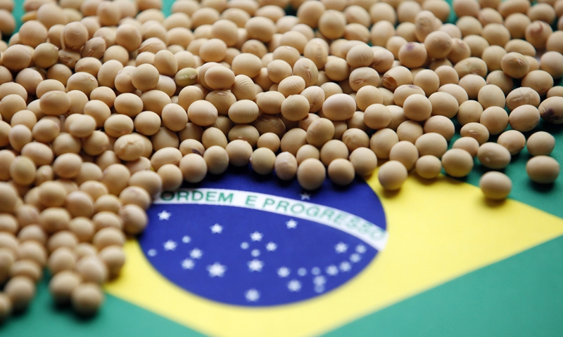 Brazilian soybeans. Photo: CFP