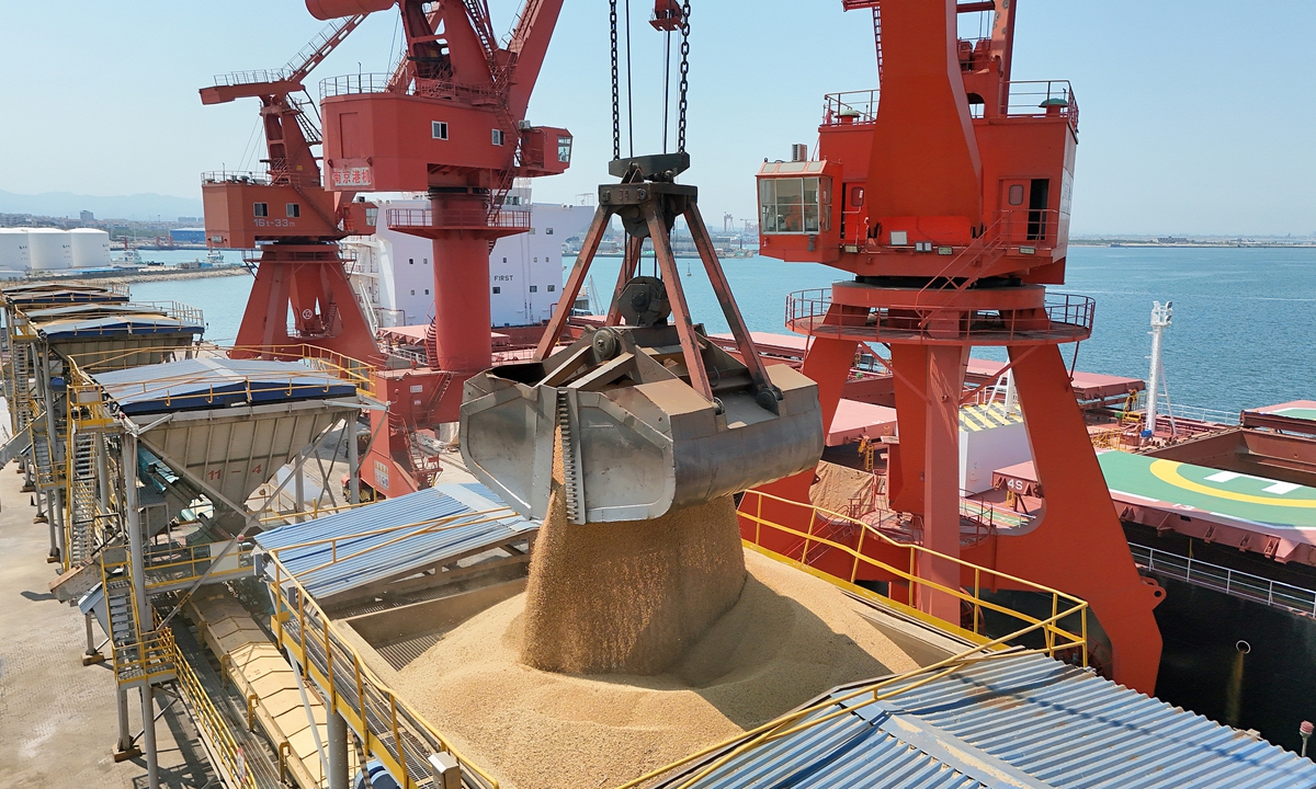 Imported soybeans from Brazil are being unloaded from the ship at the Longkou Port in Yantai, East China’s Shandong Province, on June 17, 2025. Photo: CFP