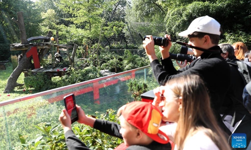 People take photos of giant pandas at Zoo Berlin in Berlin, Germany, on Aug. 22, 2025. A bright red wooden 1, colorful ice treats made from beetroot and carrot juice, and a bamboo stick for a birthday candle ... this was the scene in Zoo Berlin's panda enclosure on Friday as twins Leni and Lotti marked their very first birthday in true panda style. Born on Aug. 22, 2024, Leni and Lotti, known in Chinese as Meng Hao and Meng Tian, are the second pair of giant pandas ever born in Germany. Their parents, Meng Meng and Jiao Qing, arrived in Berlin from the Chengdu Research Base of Giant Panda Breeding in China in 2017. Photo: Xinhua