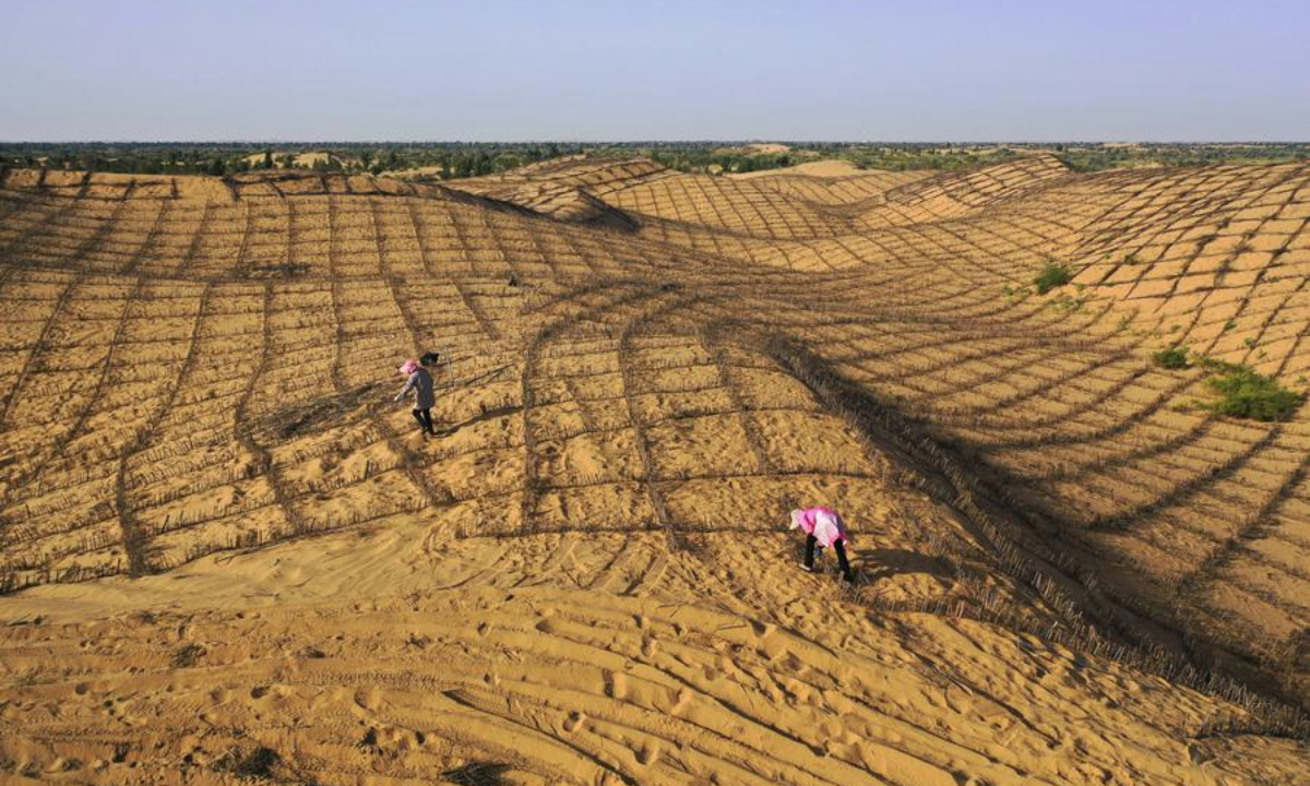 A drone photo taken on Sept. 12, 2025 shows workers laying sand barriers at Kubuqi desert in Hangjin Banner, north China's Inner Mongolia Autonomous Region. (Xinhua/Li Zhipeng)