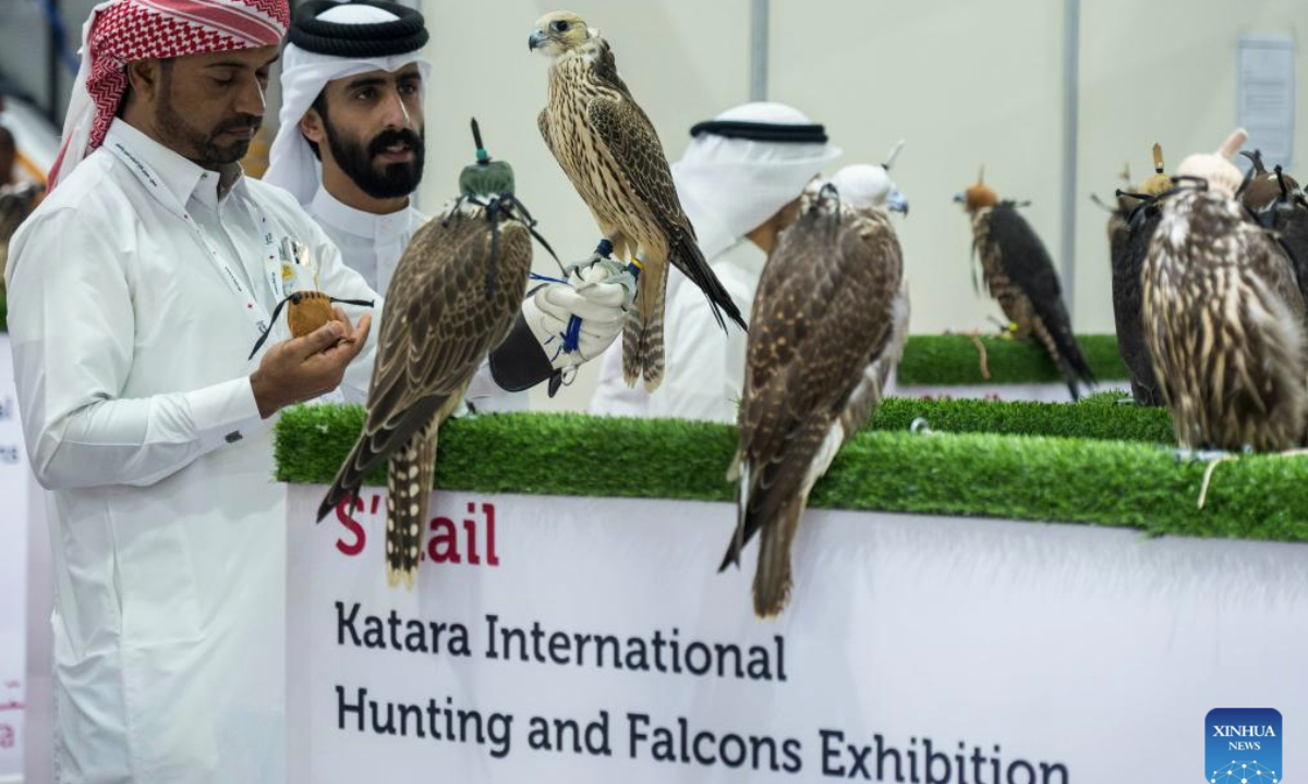 Visitors observe falcons during the S'hail Katara International Hunting and Falcons Exhibition 2025 at Katara Cultural Village in Doha, Qatar, Sept. 10, 2025. The event is held here from Sept. 10 to 14. (Photo by Nikku/Xinhua)