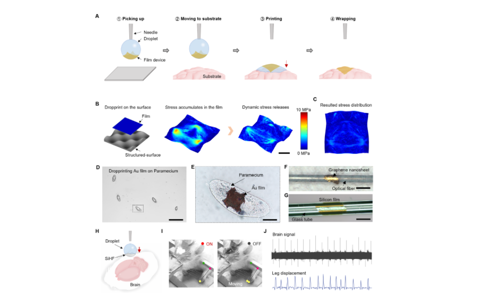 Diagram illustrating a 