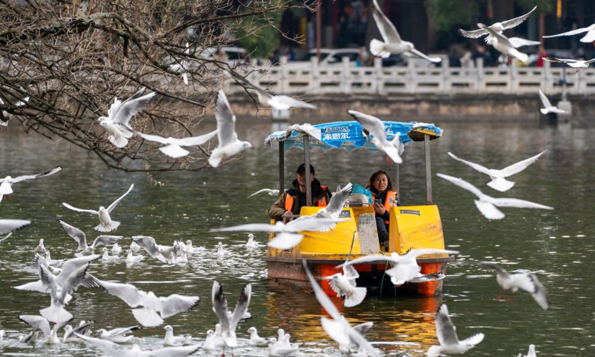 Tourists view gulls during a boat ride at Cuihu Park in Kunming, southwest China's Yunnan Province, Feb. 11, 2024. (Xinhua/Chen Xinbo)