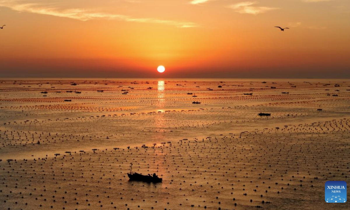 An aerial drone photo taken on Sept. 11, 2025 shows fishermen at work aboard their boats in a marine pasture in Rongcheng, east China's Shandong Province. (Photo by Yang Zhili/Xinhua)