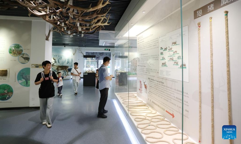 People visit a museum of Milu Park in Beijing, capital of China, Aug. 24, 2025. (Xinhua)