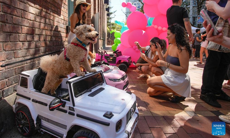 A dog poses on a mini car for photos during the Pet-A-Palooza event in Vancouver, British Columbia, Canada, Aug. 24, 2025. Pet-A-Palooza, also known as the Day of the Dog, is an annual summer celebration for local pups and their owners. The event offered a variety of dog-related activities and entertainment, attracting thousands of dog owners and their furry companions. (Photo: Xinhua)