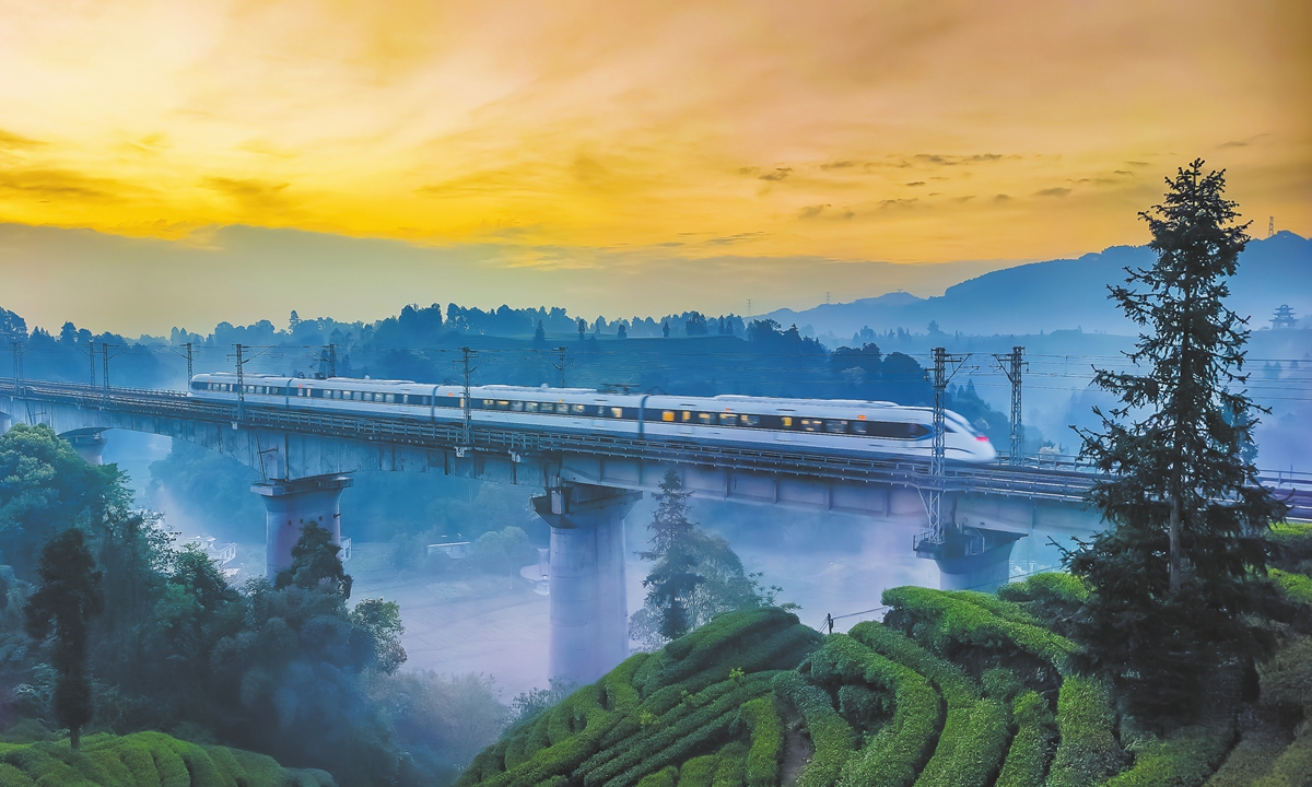 A bullet train runs through Mingshan district of Ya'an in Southwest China's Sichuan Province, on April 17, 2025. Photo: VCG