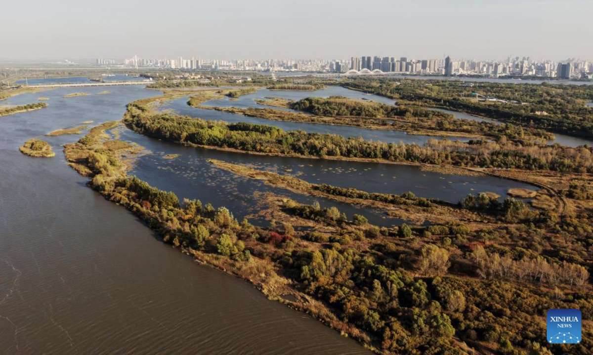 An aerial drone photo taken on Oct. 7, 2025 shows the autumn scenery of the Jinhewan wetland park in Harbin, northeast China's Heilongjiang Province. With abundant wetland resources, Harbin has been vigorously constructing wetland tourism area for leisure travel to tap its unique natural and historical resources. (Xinhua/Wang Song)