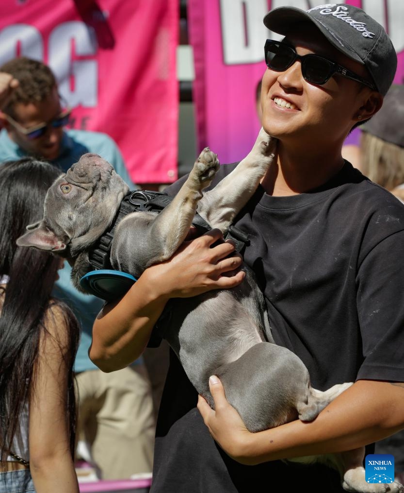 A dog owner holds his dog during the Pet-A-Palooza event in Vancouver, British Columbia, Canada, Aug. 24, 2025. Pet-A-Palooza, also known as the Day of the Dog, is an annual summer celebration for local pups and their owners. The event offered a variety of dog-related activities and entertainment, attracting thousands of dog owners and their furry companions. (Photo: Xinhua)