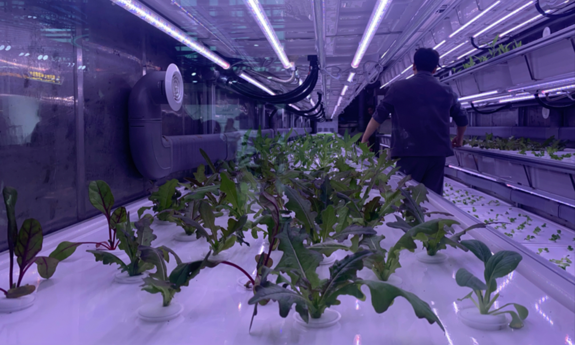 A view of smart agriculture on display during the 7th China-Arab States Expo held in Northwest China's Ningxia Hui Autonomous Region, on August 29, 2025. Photo: Zhang Weilan/GT