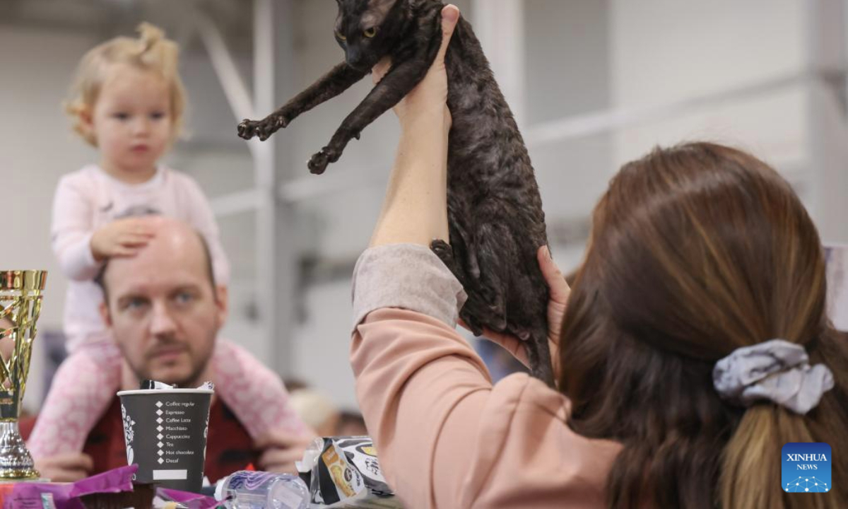 An owner shows her cat to visitors during the World Cat Federation (WCF) cat show in Budapest, Hungary on Sept. 28, 2025. (Photo by Attila Volgyi/Xinhua)