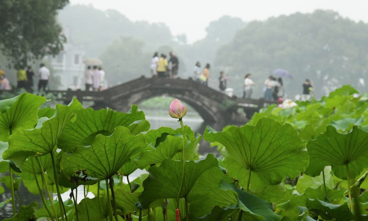 Tourists view lotus flowers at the West Lake scenic spot in Hangzhou, east China's Zhejiang Province, June 24, 2025. (Xinhua/Weng Xinyang)