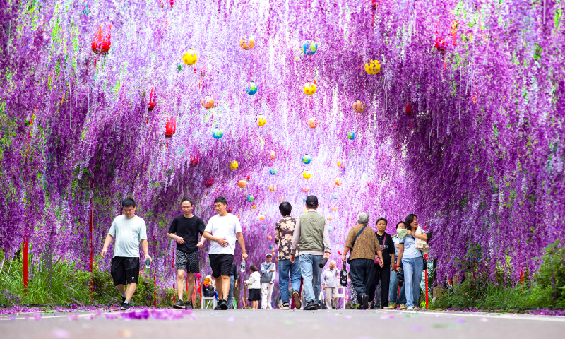 Visitors explore the scenic area of Mount Maren in Fanchang District of Wuhu, East China's Anhui Province, on September 21, 2025. In recent years, Fanchang has leveraged its ecological advantages to develop an integrated agritourism, cultural tourism, and eco-tourism complex. This innovative approach has injected fresh vitality into the local cultural and tourism industry, while boosting local farmers' incomes. Photo: VCG