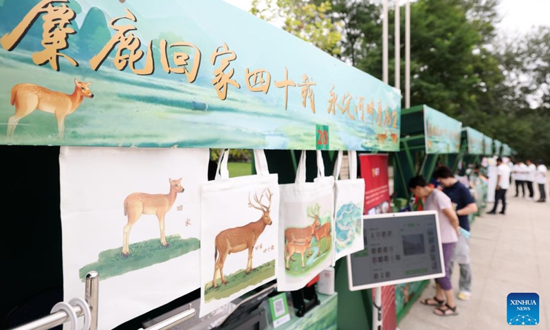 Milu Park holds activities to celebrate the 40th anniversary of the reintroduction of milu deer to China in Beijing, capital of China, Aug. 24, 2025. (Xinhua)
