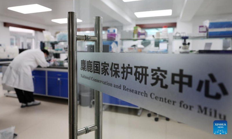 This photo taken on Aug. 18, 2025 shows the National Conservation and Research Center for Milu in Beijing, capital of China. (Xinhua)