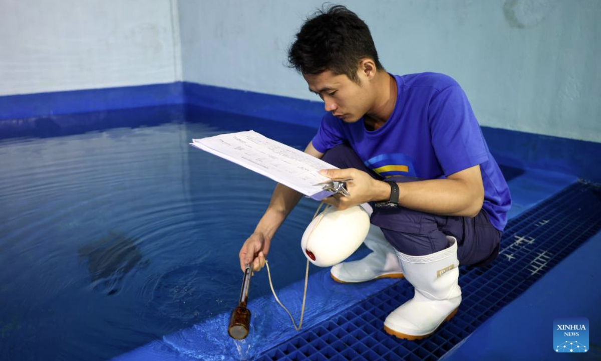 A staff member measures the water temperature at Blue Ocean Conservation and Rescue Center in Lingshui, south China's Hainan Province, Sept. 8, 2025. A seal called Anong, known for interacting with local fishermen at an undeveloped beach in Dongjiao Town, Wenchang City, Hainan Province, was transferred to an aquatic wildlife conservation center in Lingshui for protection and its returning to the wild in the future. (Xinhua/Zhang Liyun)