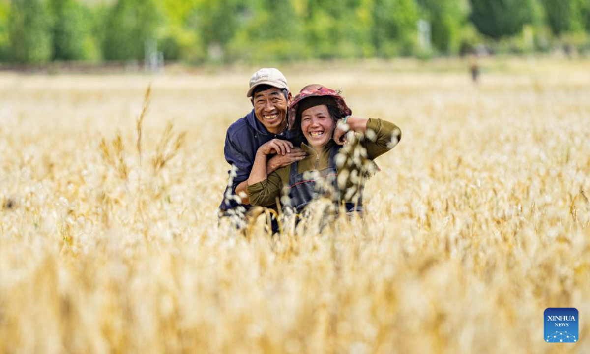 Farmers are seen in a highland barley field in Lhunzhub County, in Lhasa, southwest China's Xizang Autonomous Region, Sept. 23, 2025. The Chinese farmers' harvest festival is the first national festival created specifically for the country's farmers. Starting in 2018, the festival coincides with the Autumnal Equinox each year, which is one of the 24 solar terms of the Chinese lunisolar calendar and usually falls between Sept. 22 and 24 during the country's agricultural harvest season. (Xinhua/Tenzin Nyida)
