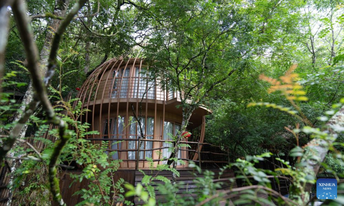 This photo taken on Aug. 27, 2025 shows a homestay inside a scenic area themed on dendrobium officinale health tourism in Liulangcheng Village of Guangnan County, Wenshan Zhuang and Miao Autonomous Prefecture, southwest China's Yunnan Province. By adopting an integrated industrial model connecting companies, cooperatives, production bases, and farmers, Guangnan County has established a comprehensive development framework centered on dendrobium officinale, a valuable Chinese herbal medicine. The framework spans cultivation, processing, sales, and health tourism, boosting local farmers' income. (Xinhua/Gao Yongwei)