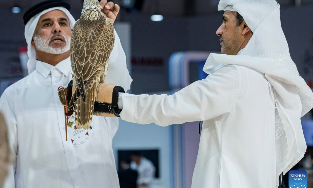 An exhibitor shows a falcon during the S'hail Katara International Hunting and Falcons Exhibition 2025 at Katara Cultural Village in Doha, Qatar, Sept. 10, 2025. The event is held here from Sept. 10 to 14. (Photo by Nikku/Xinhua)