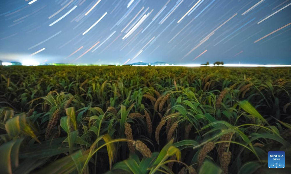 This stack composite photo taken on Sept. 17, 2025 shows a field under the starry sky in Fujin City, northeast China's Heilongjiang Province. (Photo by Qu Yubao/Xinhua)