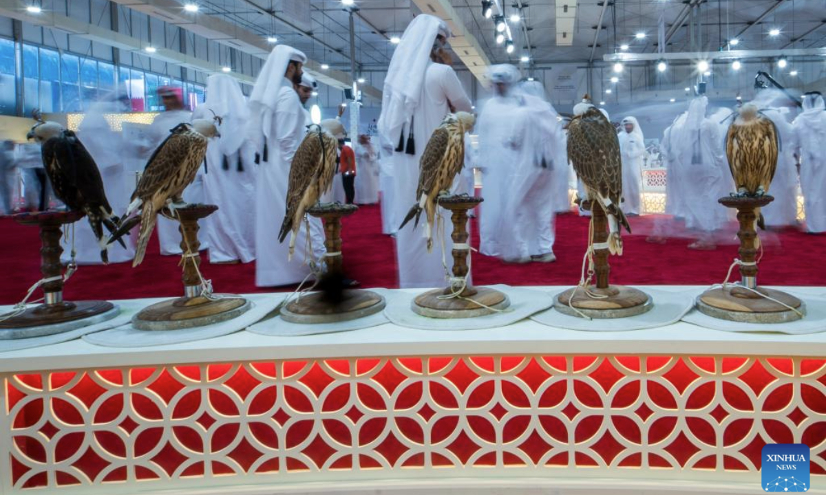 People visit the S'hail Katara International Hunting and Falcons Exhibition 2025 at Katara Cultural Village in Doha, Qatar, Sept. 10, 2025. The event is held here from Sept. 10 to 14. (Photo by Nikku/Xinhua)