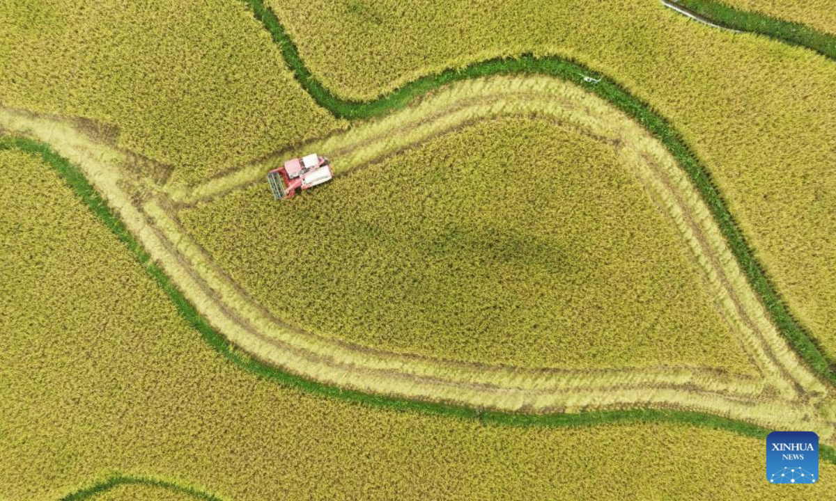 An aerial drone photo shows harvester working in a field in Wangcao Town of Suiyang County, southwest China's Guizhou Province, Sept. 11, 2025. (Photo by Li Qianyong/Xinhua)