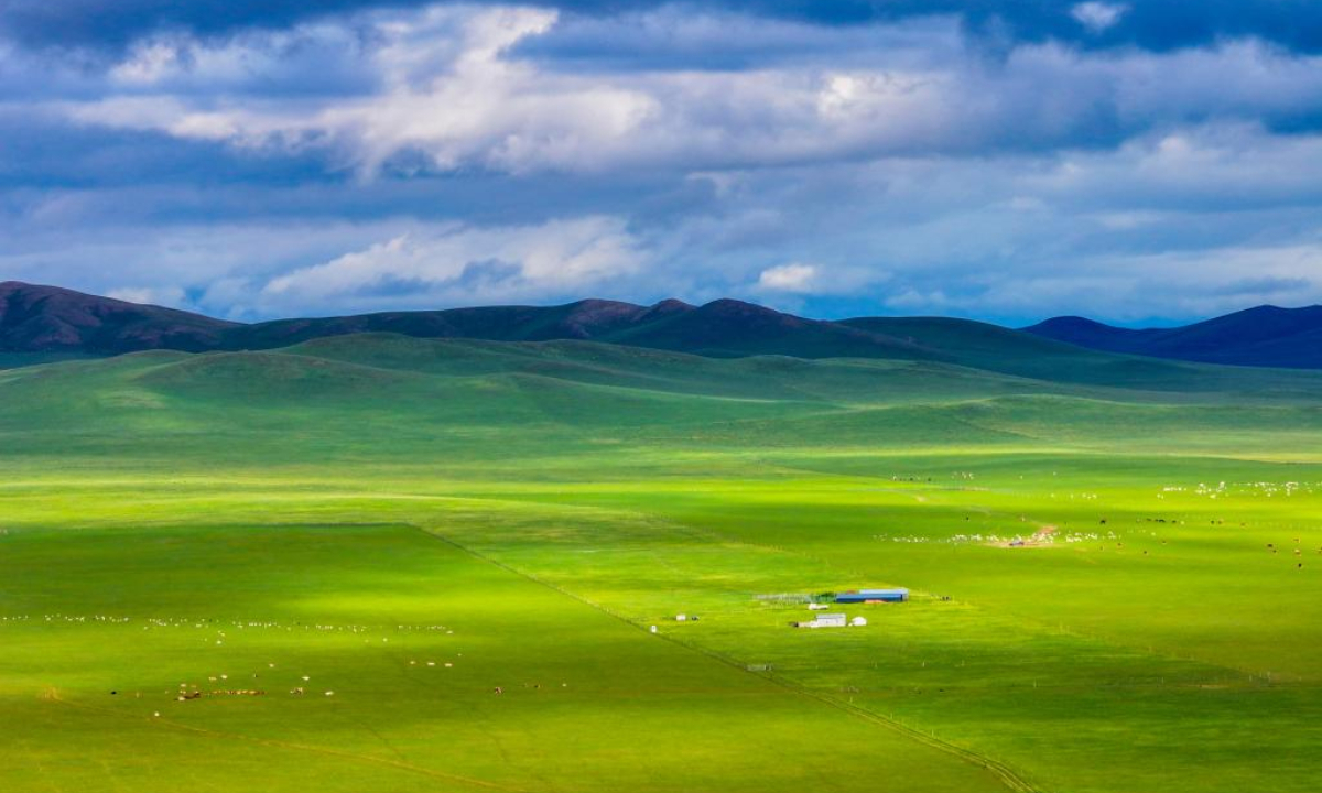 An aerial drone photo taken on July 16, 2024 shows the scenery of a grassland in West Ujimqin Banner of Xilingol League, north China's Inner Mongolia Autonomous Region. (Xinhua/Lian Zhen)