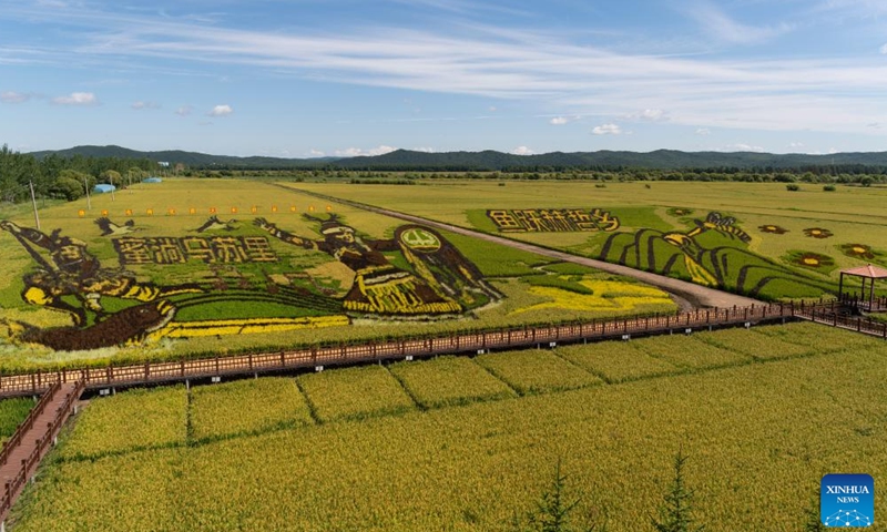 This photo taken on Aug. 21, 2025 shows patterns themed on Hezhe culture at a paddy rice field in Sipai Hezhe Ethnic Township, Raohe County, northeast China's Heilongjiang Province. Sipai Hezhe Ethnic Township is one of the main settlements of the Hezhe ethnic group in China, and also the birthplace of Wusuli River, a Hezhe folk song popular across the country. (Xinhua/Xie Jianfei)