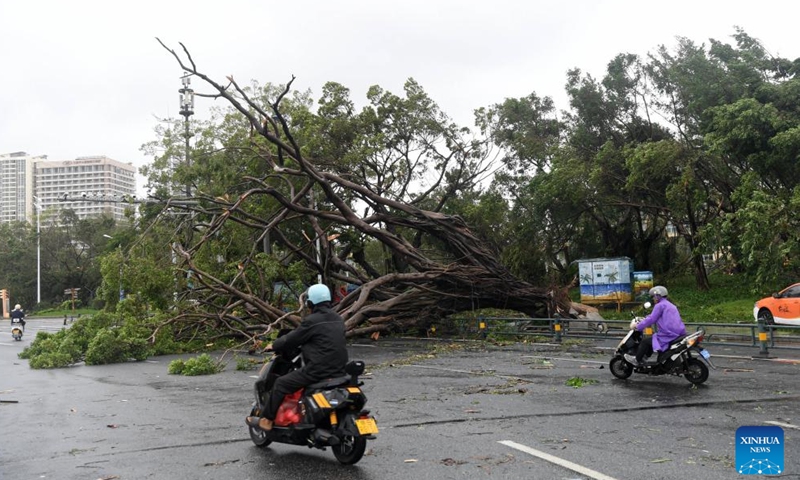 Citizens ride past fallen trees in Sanya, south China's Hainan Province, Aug. 25, 2025. Sanya, a popular tourist destination, wastes no time in getting back to normal after Kajiki, the 13th typhoon of this year, had ploughed through the city. (Xinhua/Zhao Yingquan)