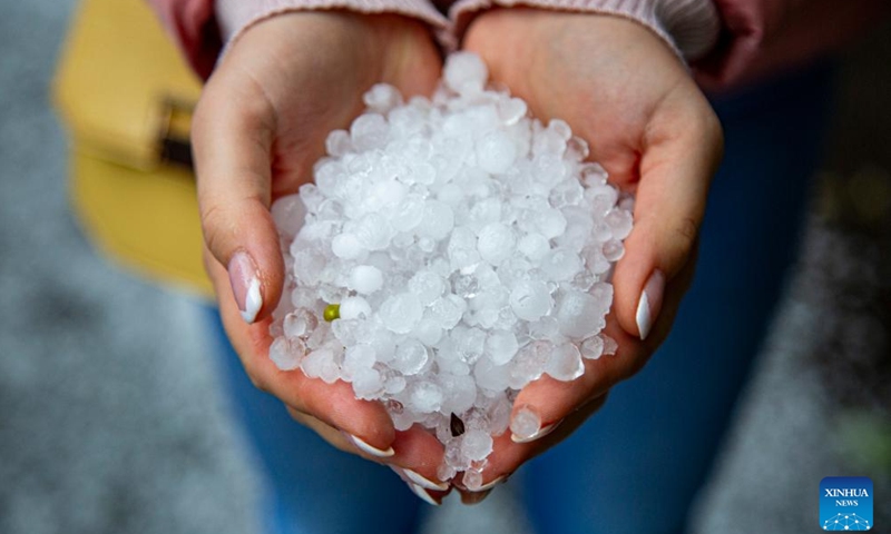 A handful of hailstones are collected after a sudden storm in Riga, Latvia, Aug. 26, 2025. Riga was struck by severe thunderstorms overnight into the morning of Aug. 26, with heavy rain causing flooding in some streets of the city center. (Photo by Edijs Palens/Xinhua)