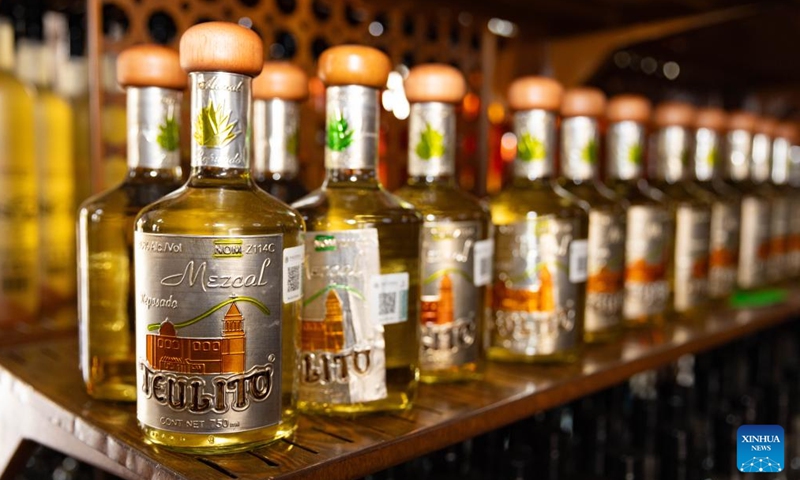 This photo taken on Aug. 26, 2025 shows bottles of mezcal in a shop in Teul de Gonzalez Ortega, State of Zacatecas, Mexico. In Teul de Gonzalez Ortega, a town in southern Zacatecas, agave is an important crop. Mezcal is produced by roasting agave cores, extracting the juice, fermenting, and distilling, with some batches further aged in wooden barrels. This craft not only preserves ancient traditions but also supports local economic growth. (Xinhua/Li Mengxin)