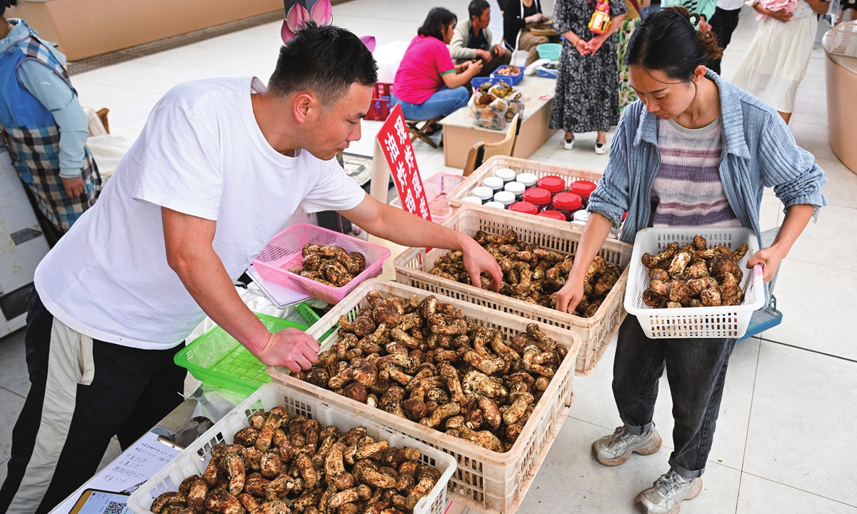 Vendors prepare Matsutake mushrooms in a market in Nanhua county, Southwest China's Yunnan Province, on August 8, 2025. Photo: VCG