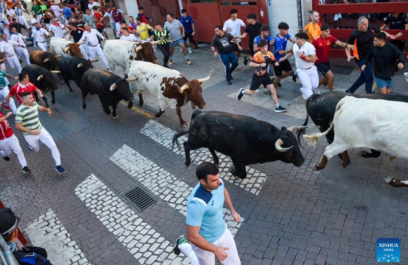 People attend the Bull Run on a street of San Sebastian de los Reyes, Spain, on Aug. 28, 2025. The annual Bull Run fiesta is held here in the last week of August. (Photo by Gustavo Valiente/Xinhua)