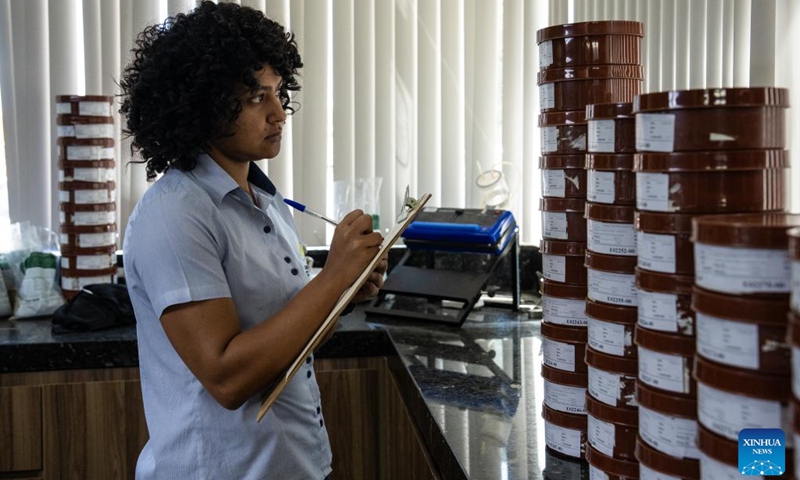 A staff member registers information of coffee samples at a coffee farmer collective in a coffee producing region known as the Cerrado Mineiro, in Minas Gerais state, Brazil, Aug. 27, 2025. Brazil is one of the world's largest coffee producers. The Cerrado Mineiro region in Minas Gerais state has a total planting area of about 210,000 hectares, producing an average of 5 million bags of coffee annually, which accounts for approximately 13 percent of the country's total output. Photo: Xinhua