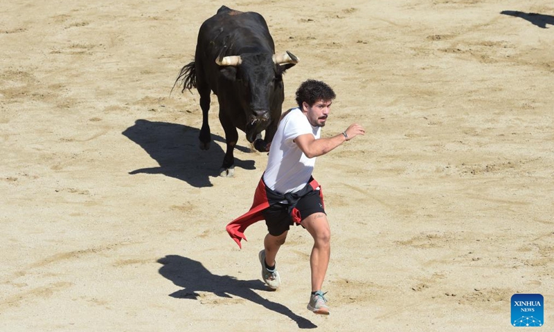A bull chases a man at a bullring in San Sebastian de los Reyes, Spain, on Aug. 28, 2025. The annual Bull Run fiesta is held here in the last week of August. (Photo by Gustavo Valiente/Xinhua)