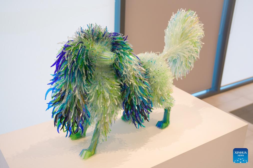 A glass dog sculpture is seen at the Glass Menagerie exhibition by Polish-born artist Marta Klonowska at the Ursynow Cultural Center in Warsaw, Poland, on Aug. 29, 2025. The exhibition presents a collection of animal sculptures created from thousands of pieces of colored glass wastes. (Photo: Xinhua)