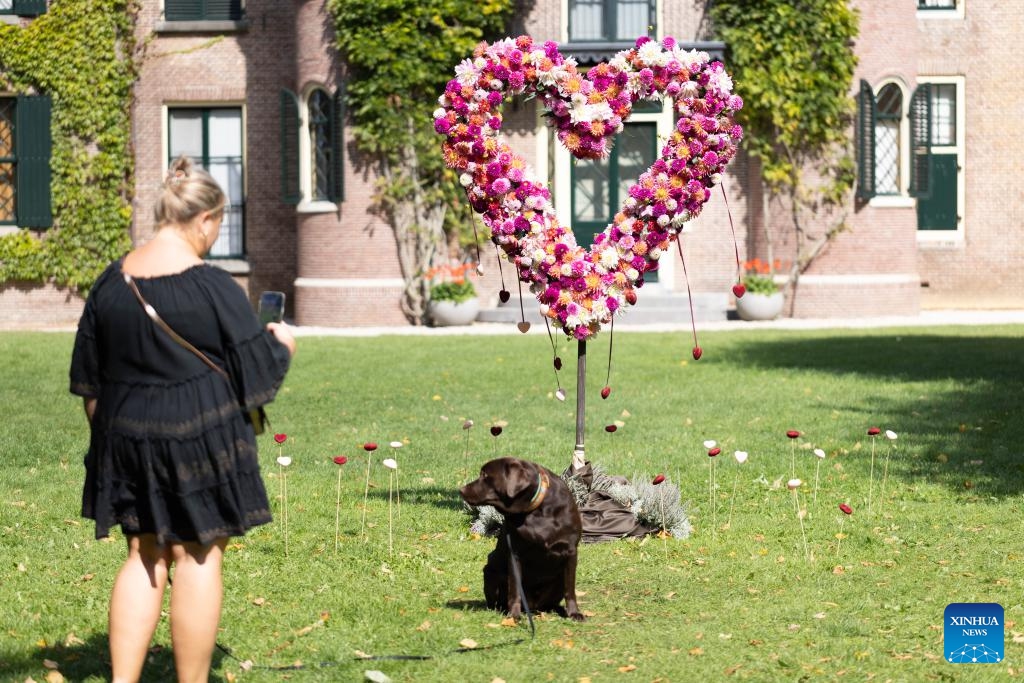 A visitor takes photos of a dog in front of a decoration made of dahlias at the garden of Keukenhof Castle during the Keukenhof Dahlia Days event in Lisse, the Netherlands, Aug. 30, 2025. The annual event is held here from Aug. 29 to 31. (Photo: Xinhua)