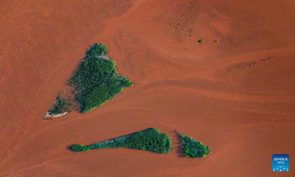 An aerial drone photo taken on Sept. 6, 2025 shows a view of the mudflat along the Yellow River in Pingluo County, northwest China's Ningxia Hui Autonomous Region. (Photo: Xinhua)