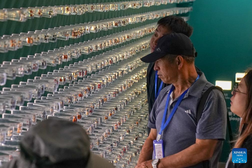 People visit the Fuligong Greenhouses at Kunming Botanical Garden in Kunming, southwest China's Yunnan Province, Sept. 5, 2025. Located in Kunming Botanical Garden, the Fuligong Greenhouses boasts over 2,500 tropical plant varieties. (Photo: Xinhua)