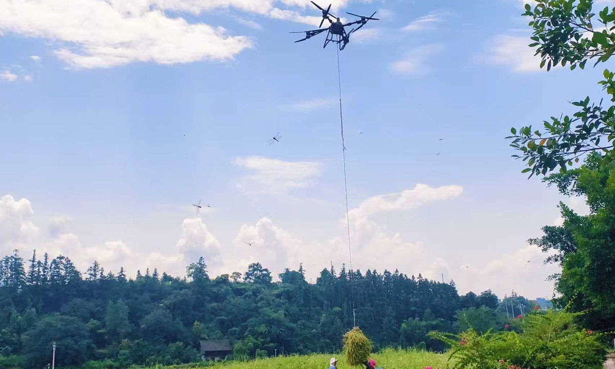 Villagers use drones to transport rice in Rongjiang, Southwest China's Guizhou Province on September 7, 2025. Farmers have adopted smart technologies to help production during the autumn harvest season. Photo: VCG