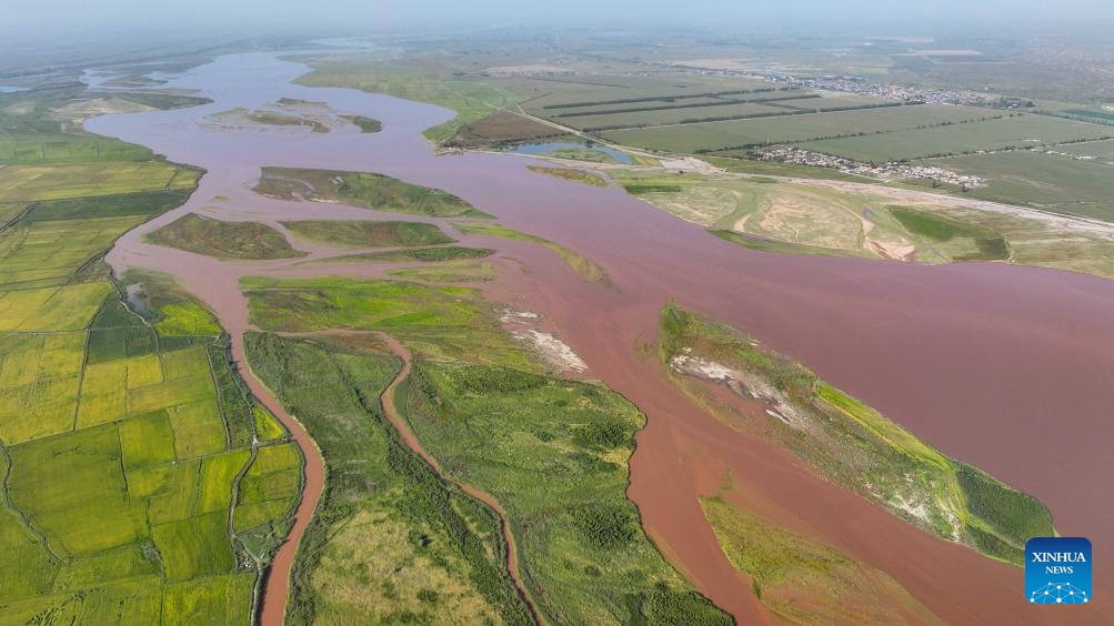 An aerial drone photo taken on Sept. 6, 2025 shows a view of the mudflat and paddy fields along the Yellow River in Pingluo County, northwest China's Ningxia Hui Autonomous Region. (Photo: Xinhua)
