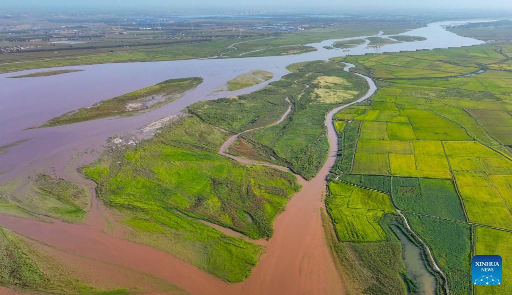 An aerial drone photo taken on Sept. 6, 2025 shows a view of the mudflat and paddy fields along the Yellow River in Pingluo County, northwest China's Ningxia Hui Autonomous Region. (Photo: Xinhua)