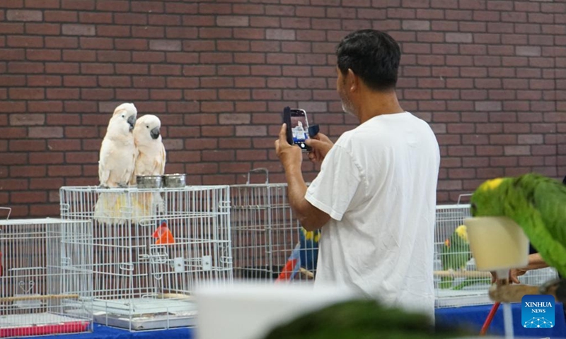 A visitor takes photos of birds during the Exotic Bird Mart & Expo in Pomona, Los Angeles County, California, the United States, Sept. 7, 2025. The event is a gathering for bird enthusiasts and lovers, offering an opportunity to explore a wide array of exotic birds and related products. (Photo: Xinhua)