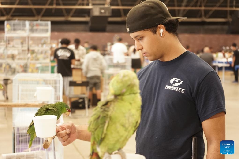 A visitor views birds during the Exotic Bird Mart & Expo in Pomona, Los Angeles County, California, the United States, Sept. 7, 2025. The event is a gathering for bird enthusiasts and lovers, offering an opportunity to explore a wide array of exotic birds and related products. (Photo: Xinhua)